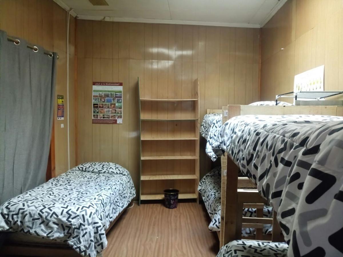 Hostal La Morenita Пунта Аренас Екстериор снимка