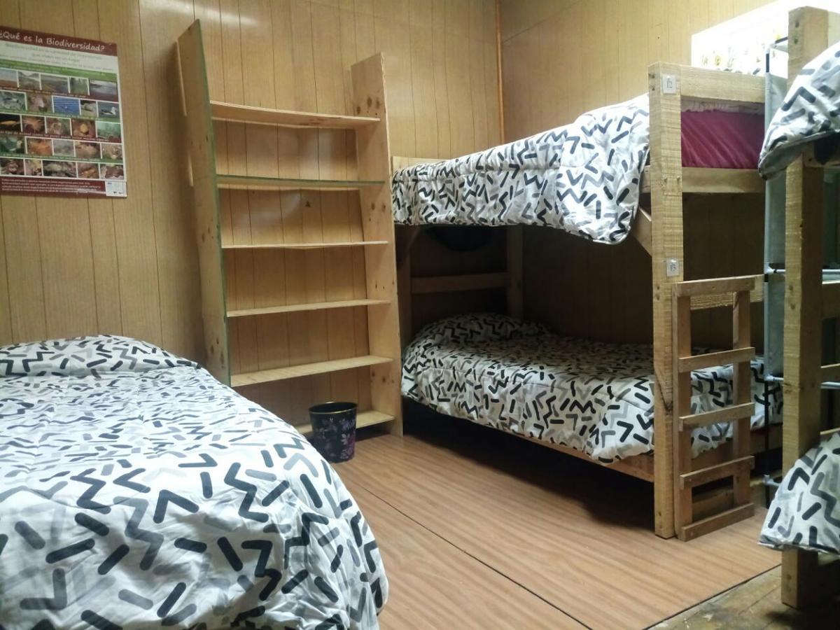 Hostal La Morenita Пунта Аренас Екстериор снимка